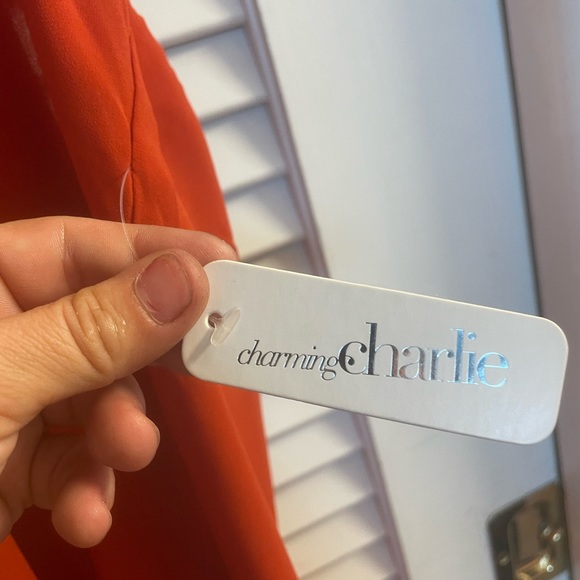 Charming Charlie NWT Flirty Ruffle Racer Back Smocked Tiered Tunic Size Med. - Picture 6 of 8